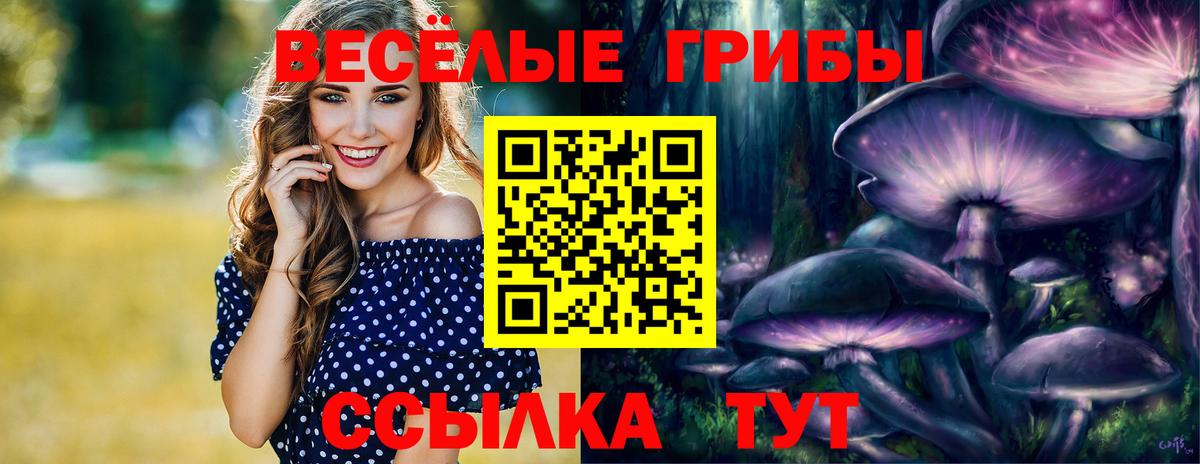Галлюциногенные грибы мицелий  Вход с VPN  Борисоглебск 